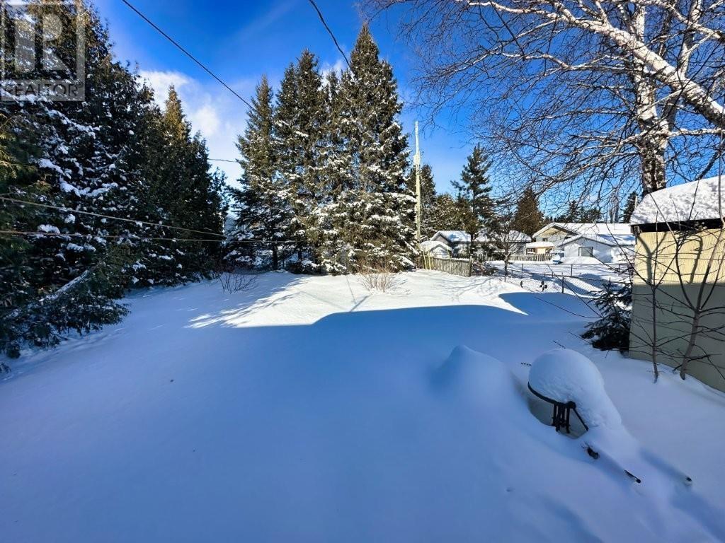 27 Park Rd, Nipigon, Ontario  P0T 2J0 - Photo 36 - TB2600112