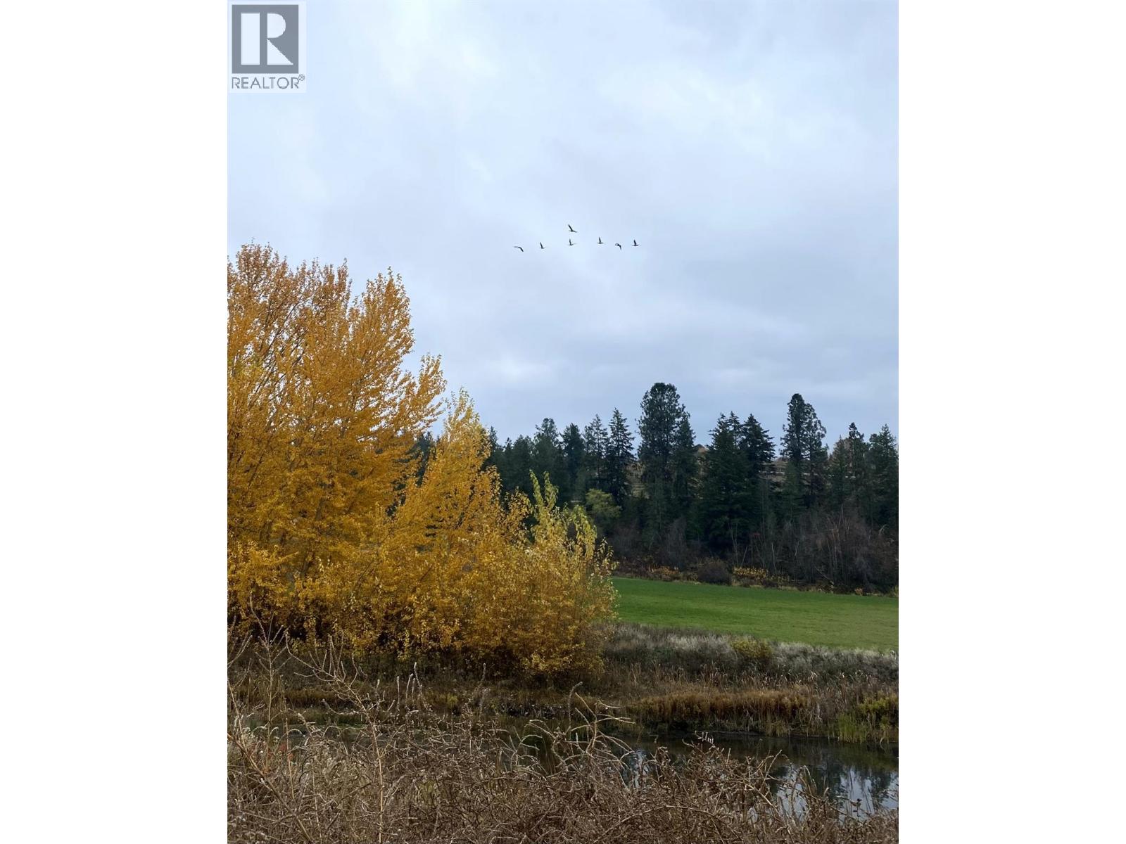 3995 Swamp Road, Kelowna, British Columbia  V1W 4M9 - Photo 19 - 10373333