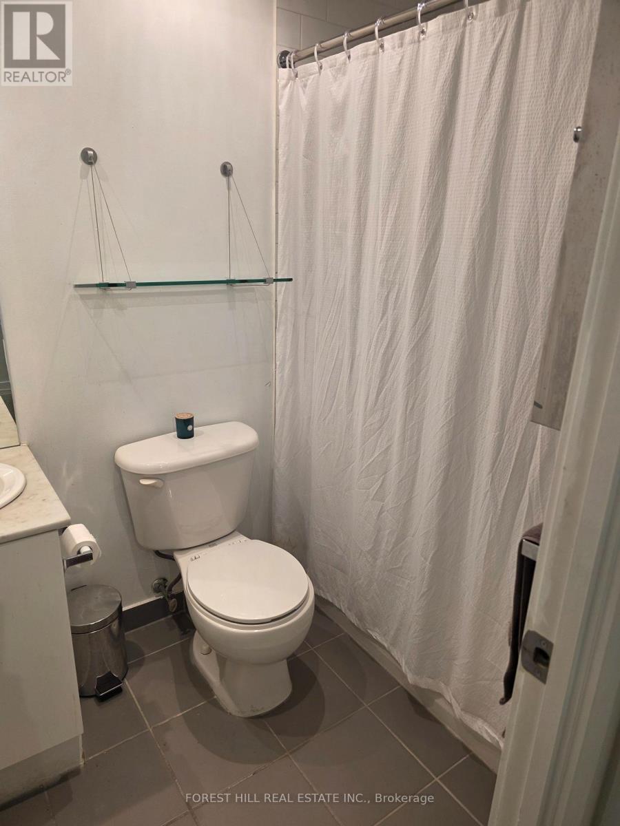 607 - 285 Mutual Street, Toronto, Ontario  M4Y 3C5 - Photo 9 - C12721326