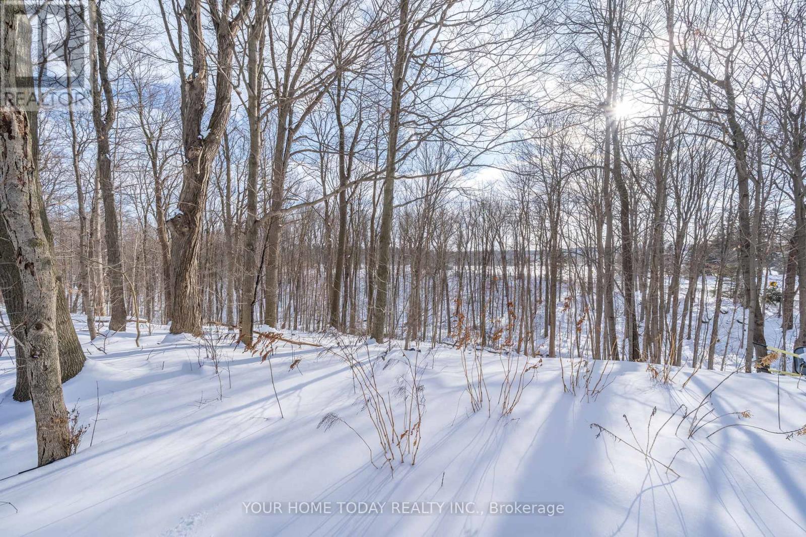 10735 Third Line, Halton Hills, Ontario  L9T 2X9 - Photo 47 - W12721282