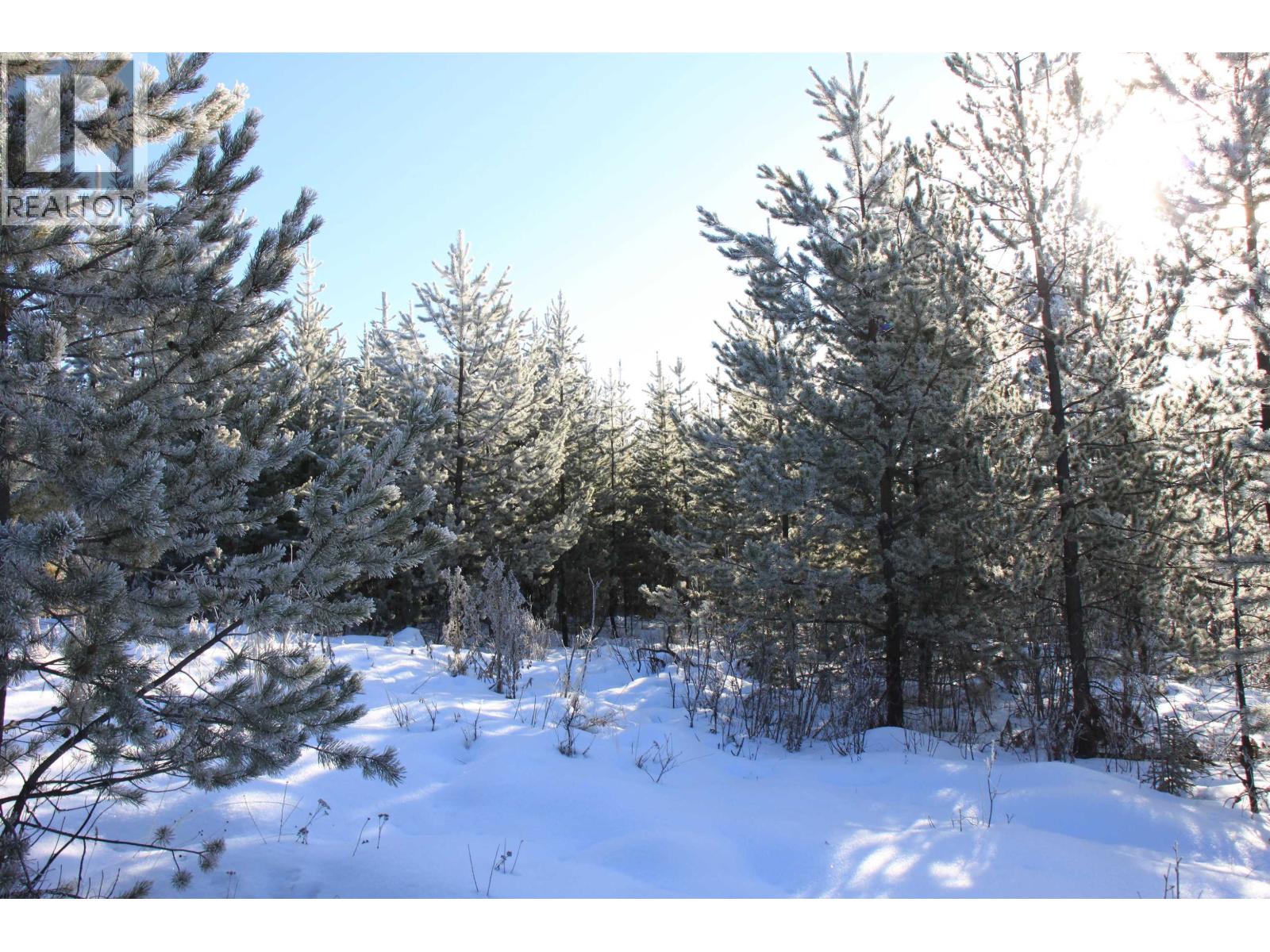 Prop Lot 28 Brown Road, Bridge Lake, British Columbia  V0K 1X2 - Photo 17 - R3082126