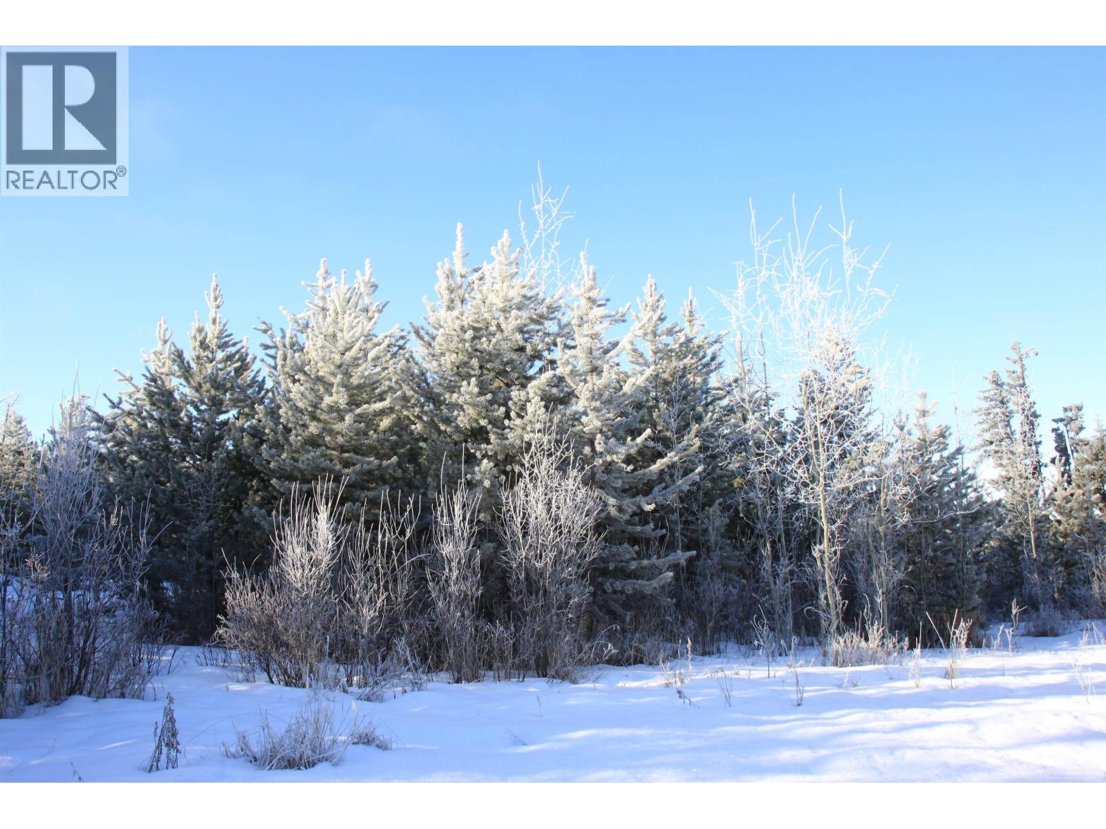 Prop Lot 28 Brown Road, Bridge Lake, British Columbia  V0K 1X2 - Photo 5 - R3082126