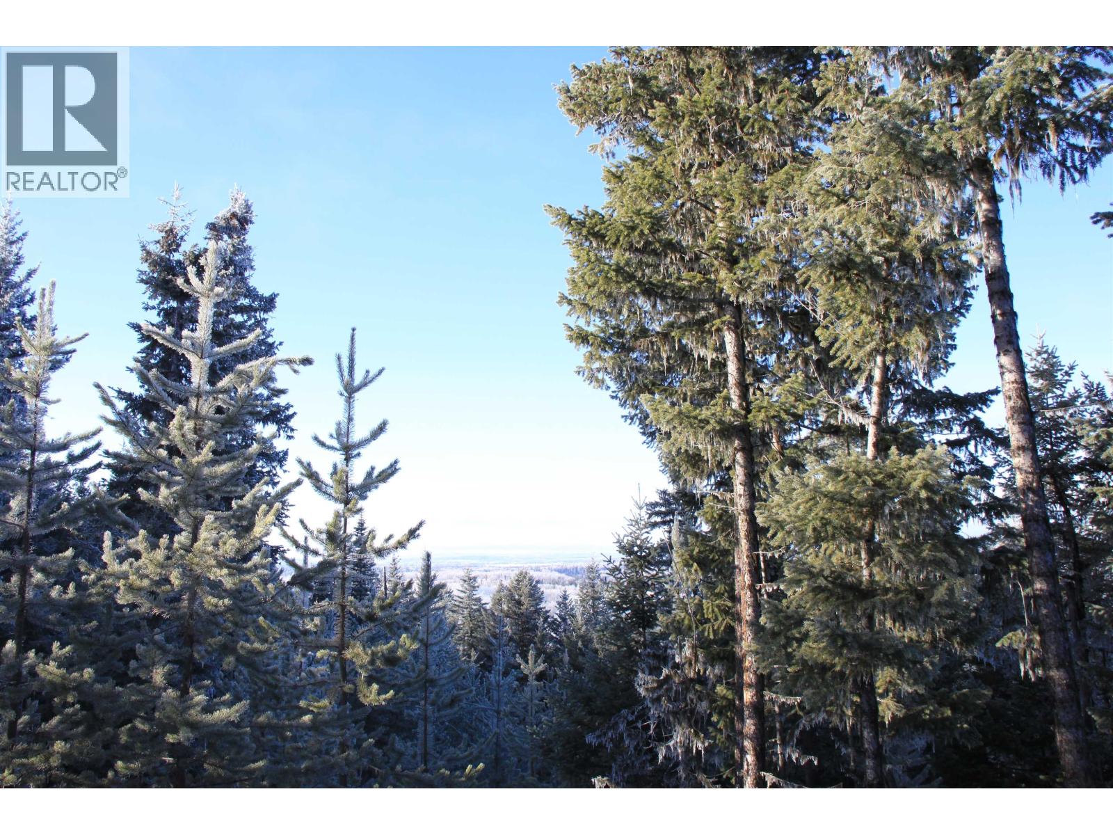 Prop Lot 28 Brown Road, Bridge Lake, British Columbia  V0K 1X2 - Photo 8 - R3082126