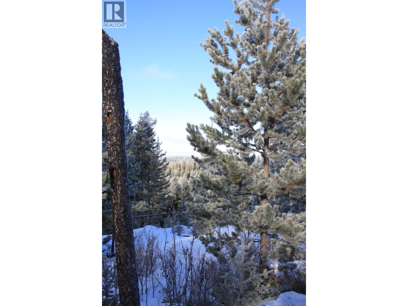 Prop Lot 28 Brown Road, Bridge Lake, British Columbia  V0K 1X2 - Photo 11 - R3082126