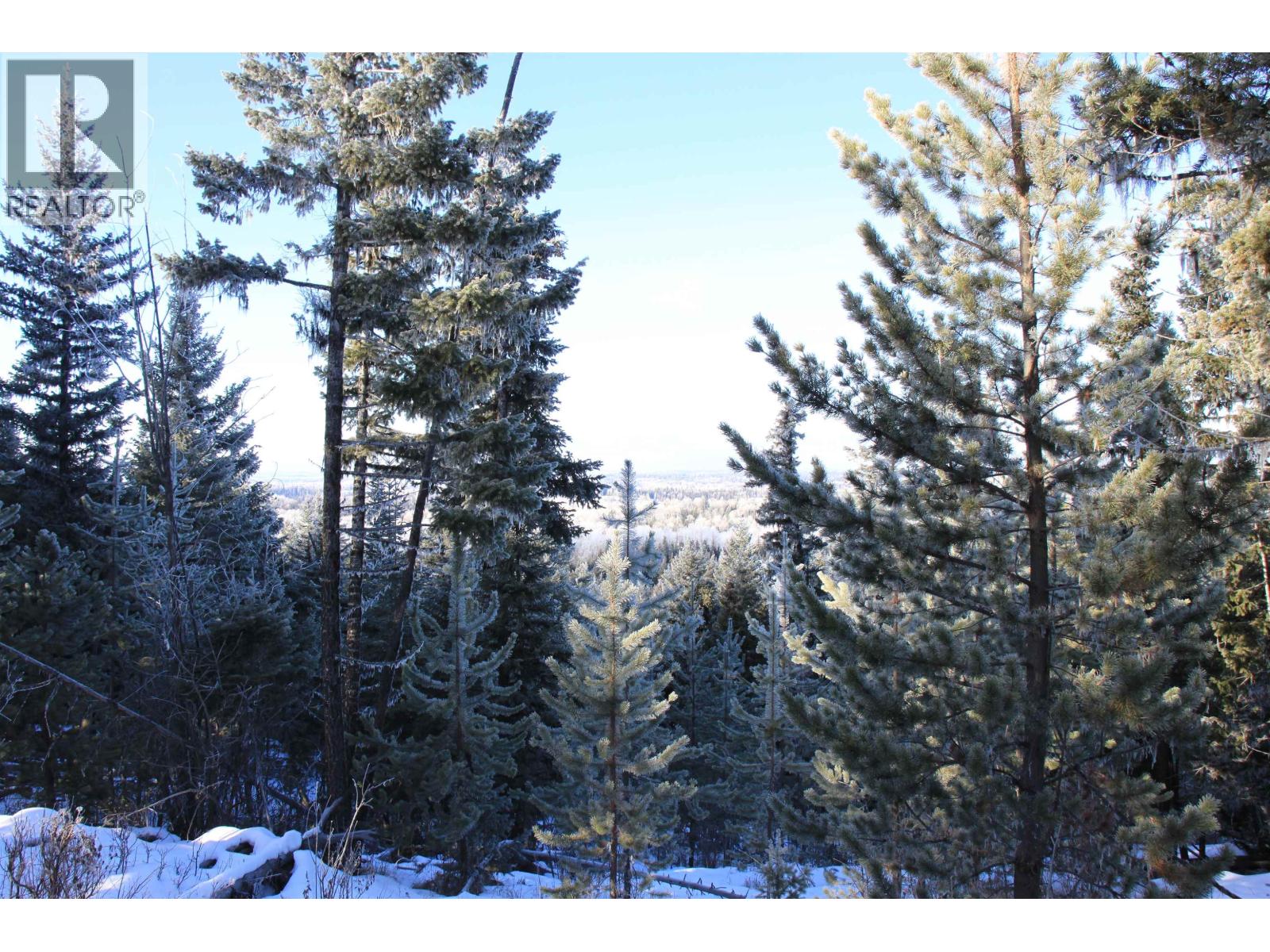 Prop Lot 28 Brown Road, Bridge Lake, British Columbia  V0K 1X2 - Photo 7 - R3082126