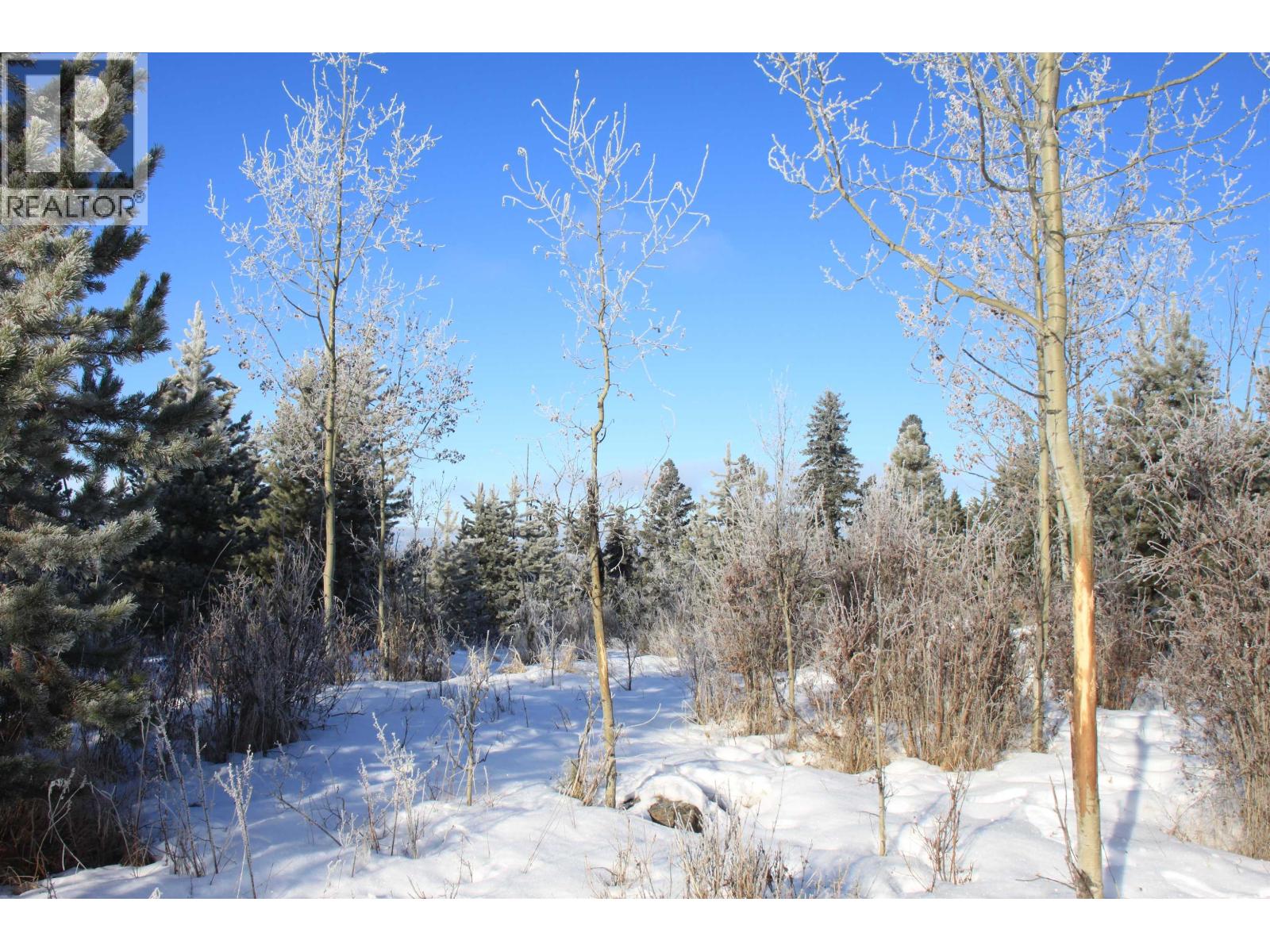 Prop Lot 28 Brown Road, Bridge Lake, British Columbia  V0K 1X2 - Photo 14 - R3082126