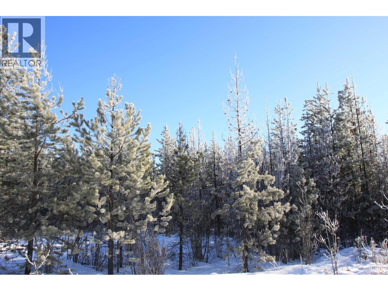 Prop Lot 28 Brown Road, Bridge Lake, British Columbia  V0K 1X2 - Photo 18 - R3082126