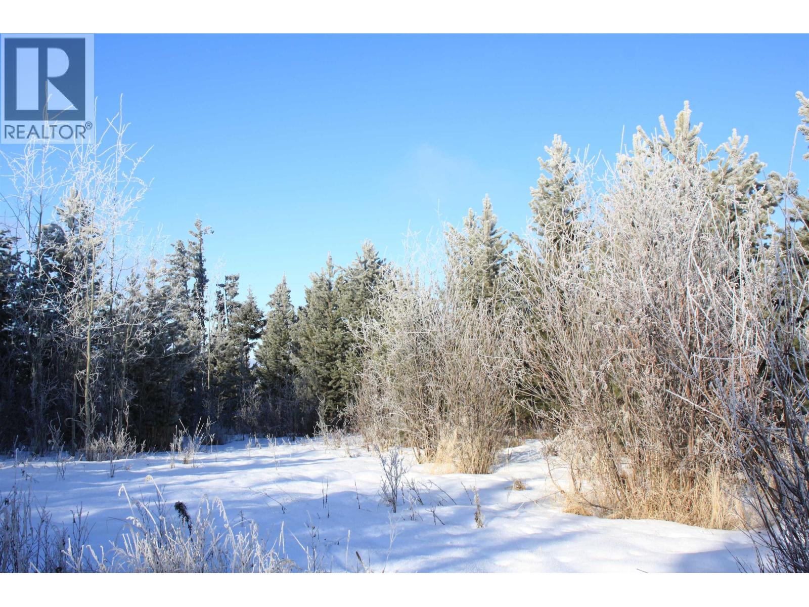 Prop Lot 28 Brown Road, Bridge Lake, British Columbia  V0K 1X2 - Photo 4 - R3082126