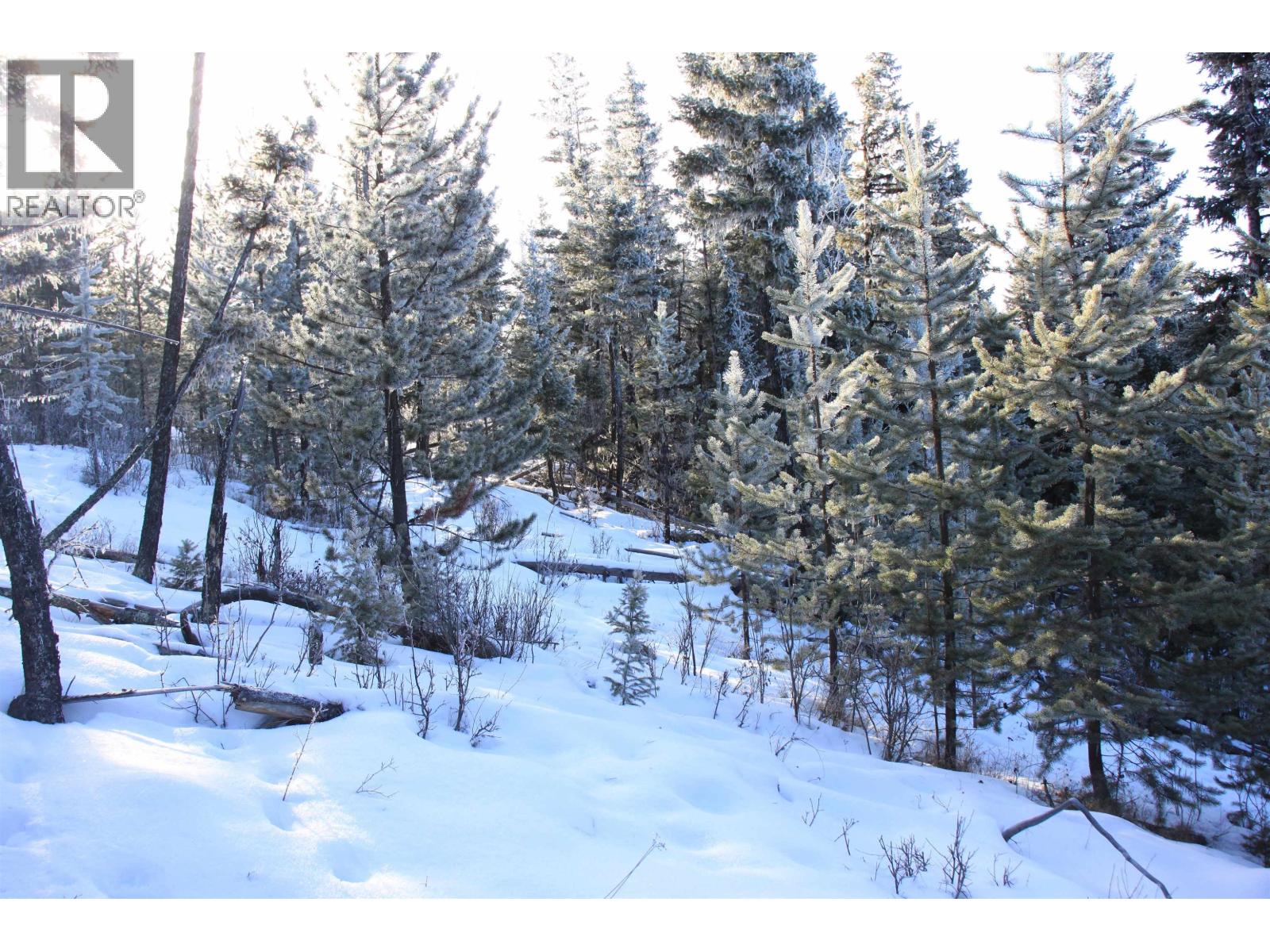 Prop Lot 28 Brown Road, Bridge Lake, British Columbia  V0K 1X2 - Photo 9 - R3082126