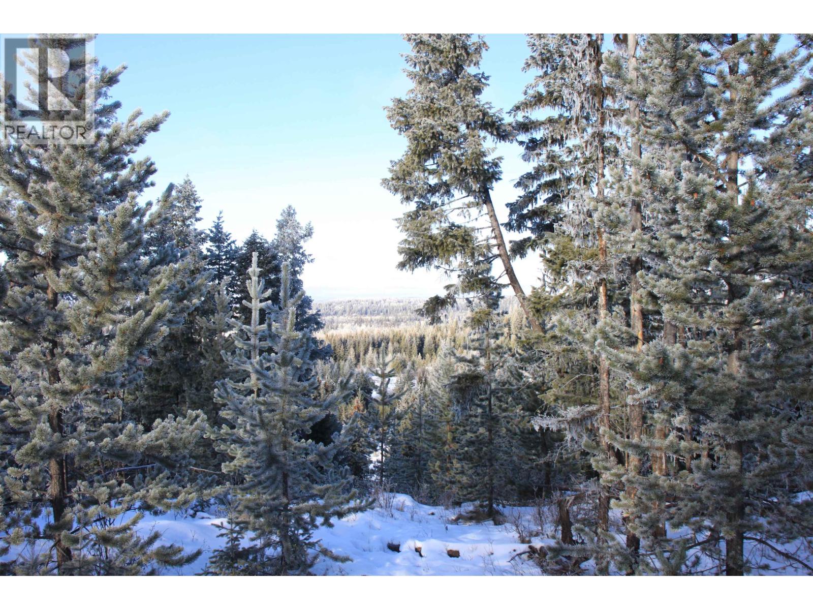 Prop Lot 28 Brown Road, Bridge Lake, British Columbia  V0K 1X2 - Photo 12 - R3082126