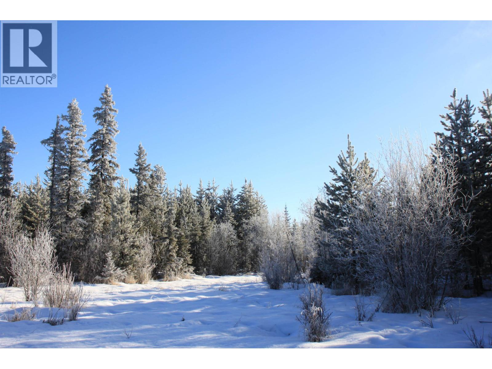 Prop Lot 28 Brown Road, Bridge Lake, British Columbia  V0K 1X2 - Photo 3 - R3082126