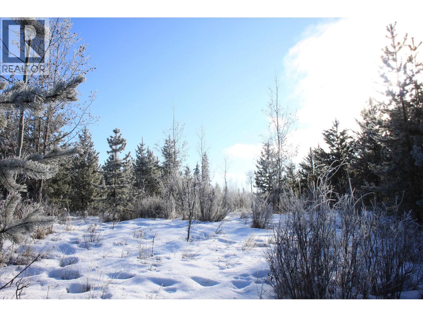 Prop Lot 28 Brown Road, Bridge Lake, British Columbia  V0K 1X2 - Photo 13 - R3082126