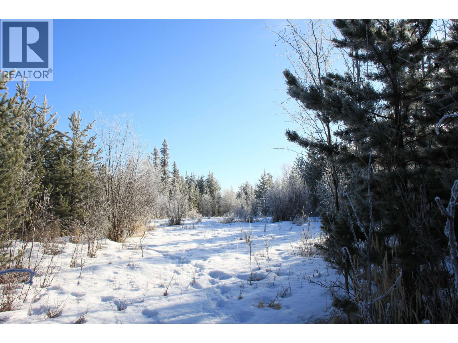 Prop Lot 28 Brown Road, Bridge Lake, British Columbia  V0K 1X2 - Photo 6 - R3082126