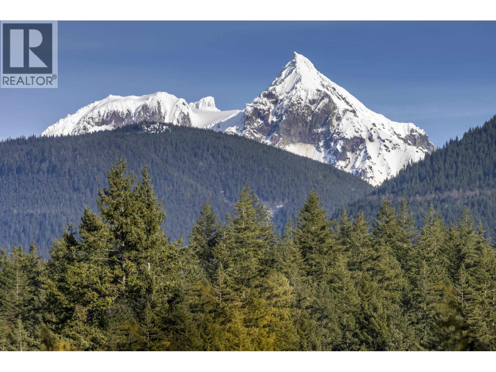 40298 Ayr Drive, Squamish, British Columbia  V8B 0B6 - Photo 31 - R3082261