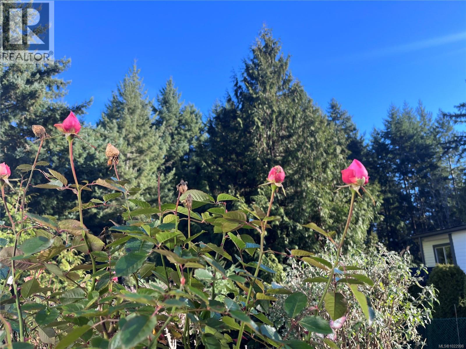 11 4544 Lanes Rd, Cowichan Bay, British Columbia  V0R 1N2 - Photo 31 - 1022998