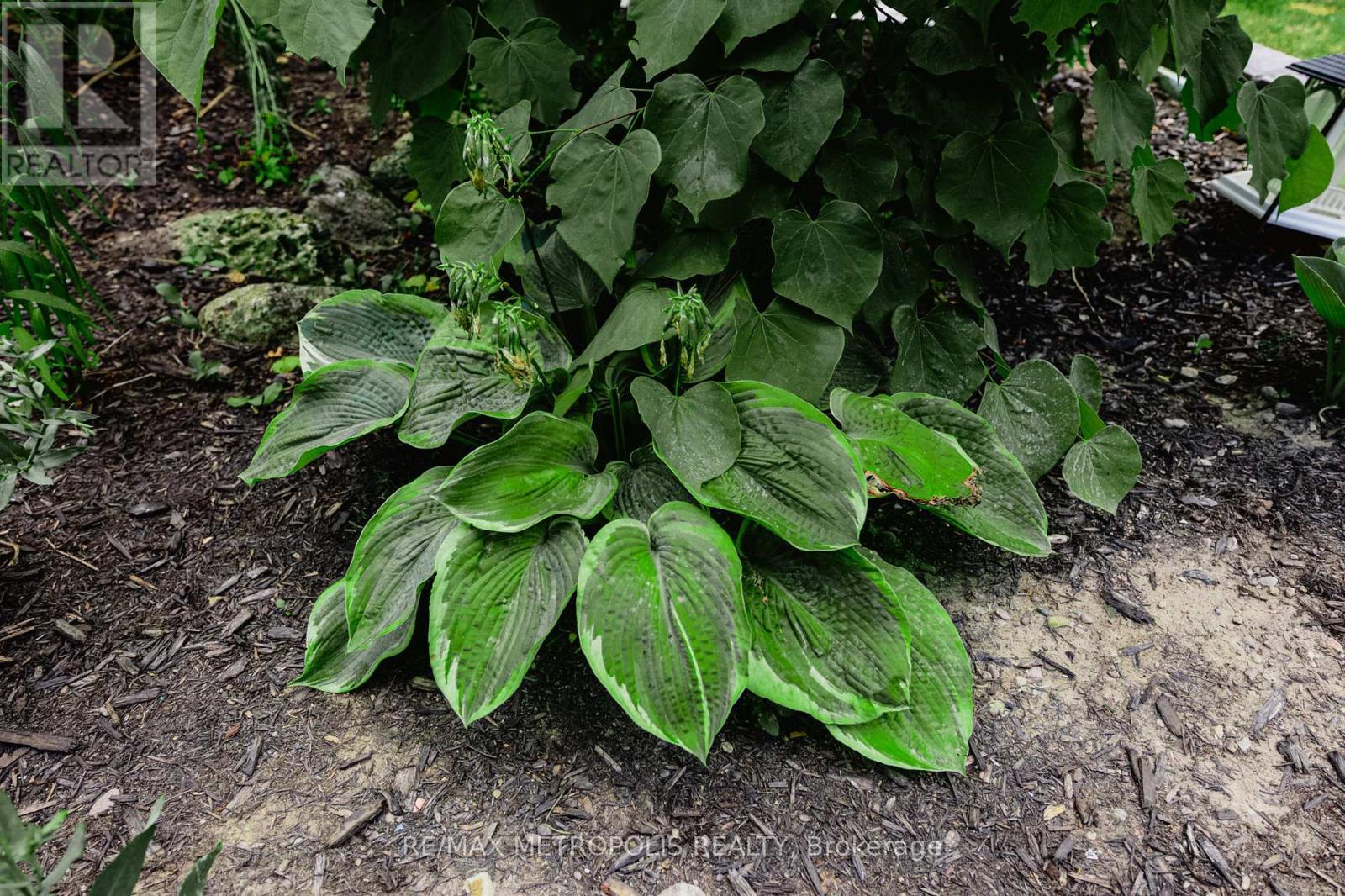 7 Cherry Lane, New Tecumseth, Ontario  L9R 0M1 - Photo 39 - N12721134