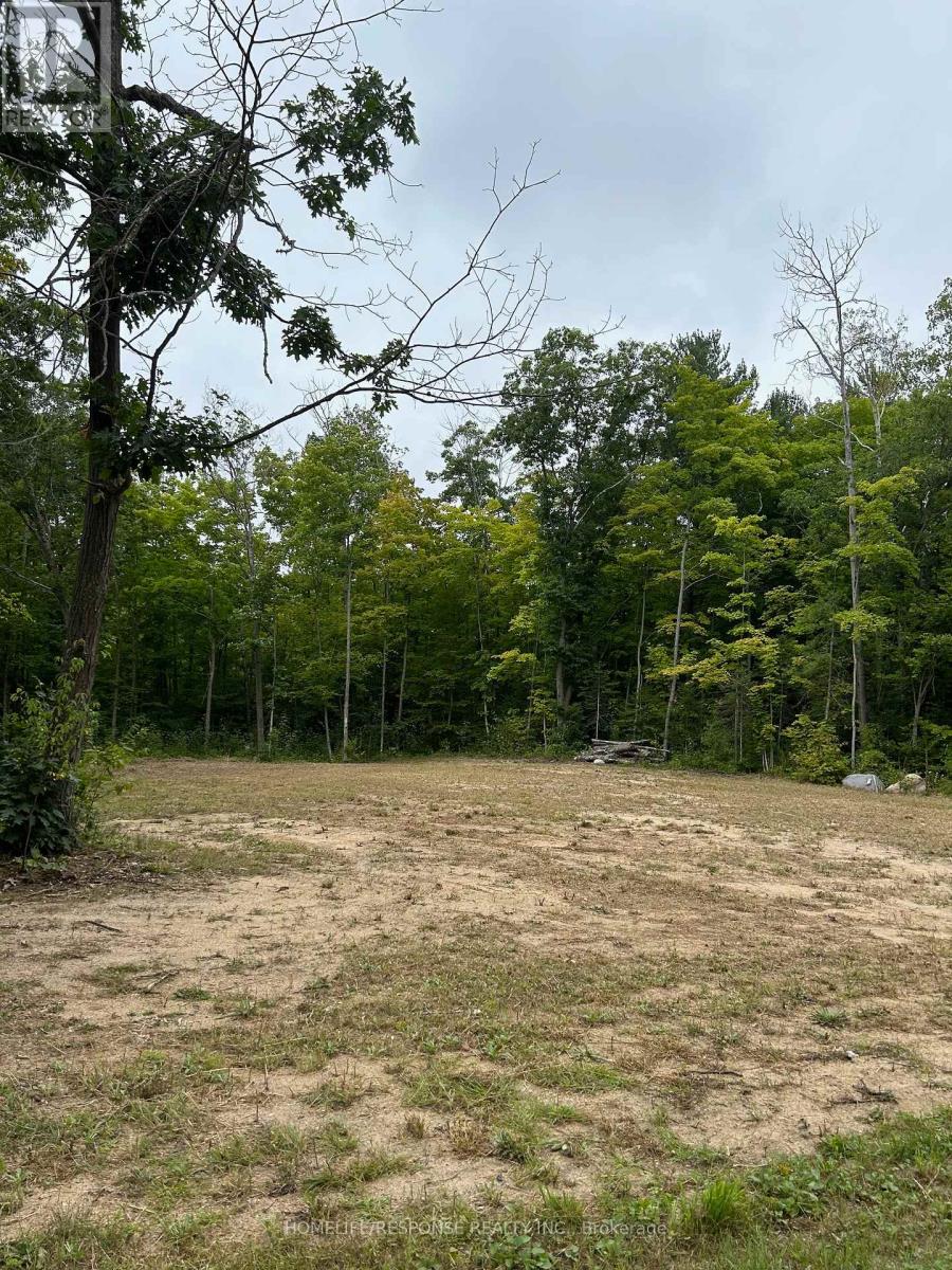 56 Poplar Drive W, Tiny, Ontario  L9M 0J2 - Photo 8 - S12721480