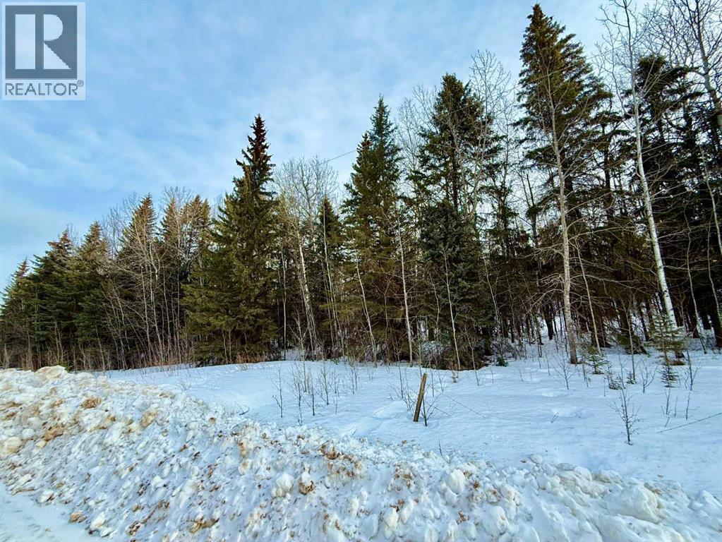 Lot 1 Part Of Nw-33-65-22-W4, Rural Athabasca County, Alberta  T9S 2A5 - Photo 3 - A2280603