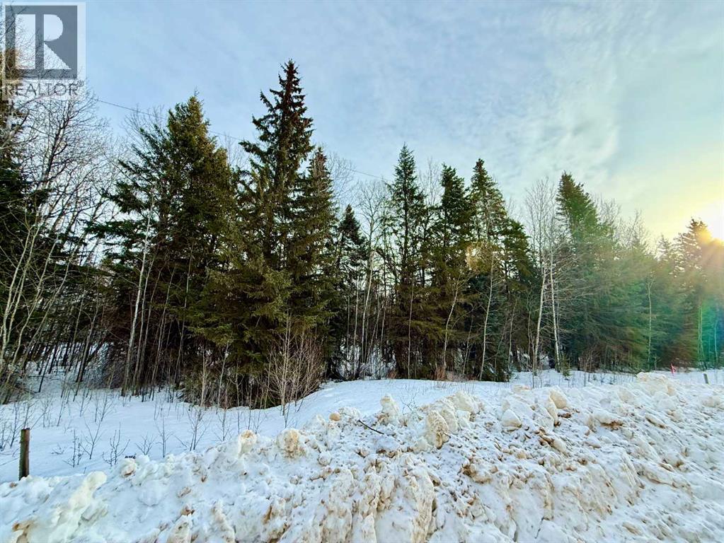 Lot 1 Part Of Nw-33-65-22-W4, Rural Athabasca County, Alberta  T9S 2A5 - Photo 5 - A2280603