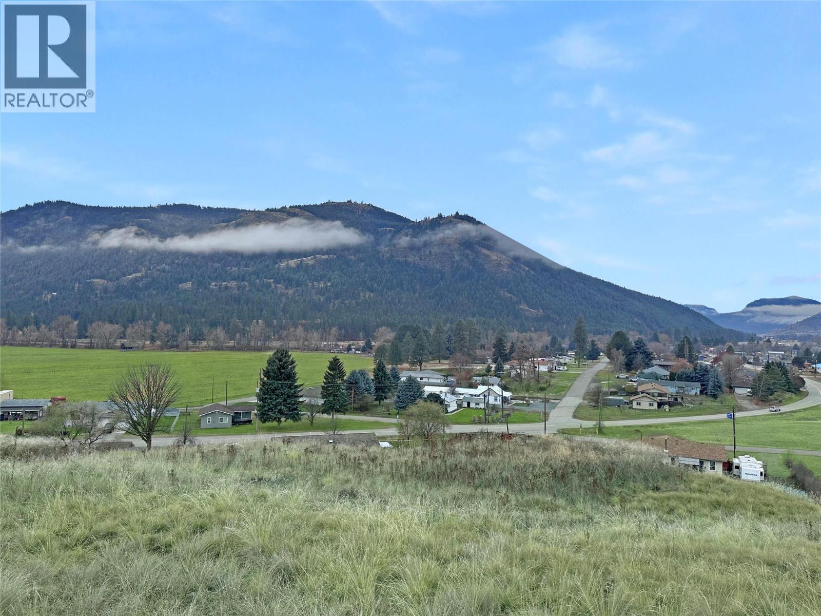 Thomet Avenue Lot# Lot A, Midway, British Columbia  V0H 1M0 - Photo 5 - 10373527