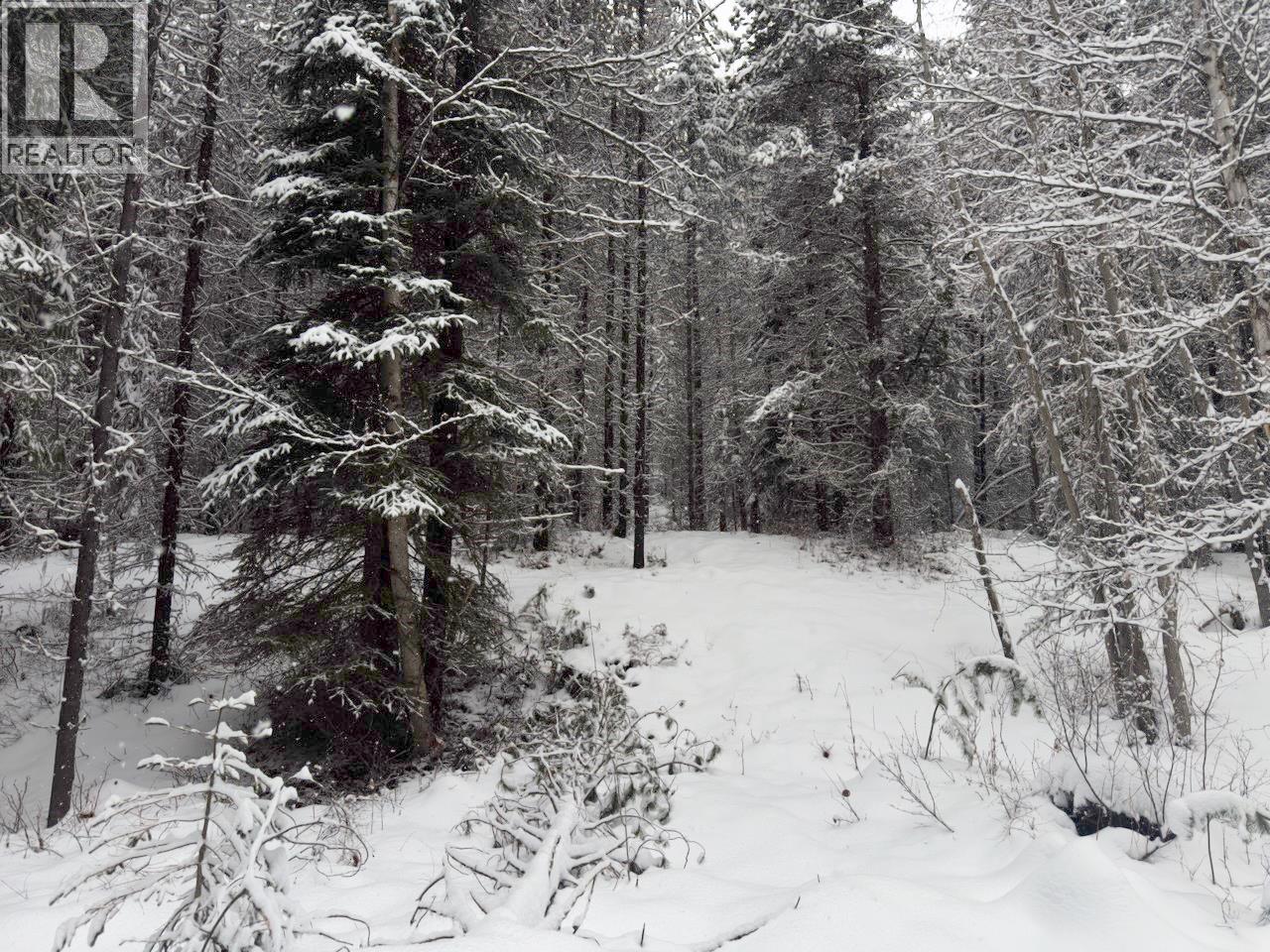 Km 53 Christian Valley Road Lot# 3, Westbridge, British Columbia  V0H 2B0 - Photo 3 - 10373639