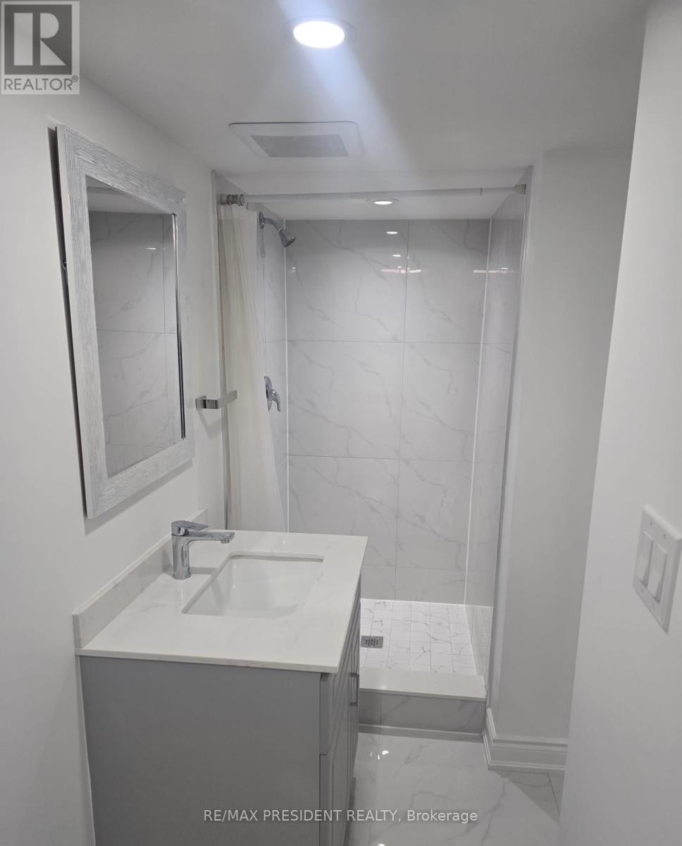 Basement - 59 Natronia Trail, Brampton, Ontario  L6P 3N8 - Photo 7 - W12721590