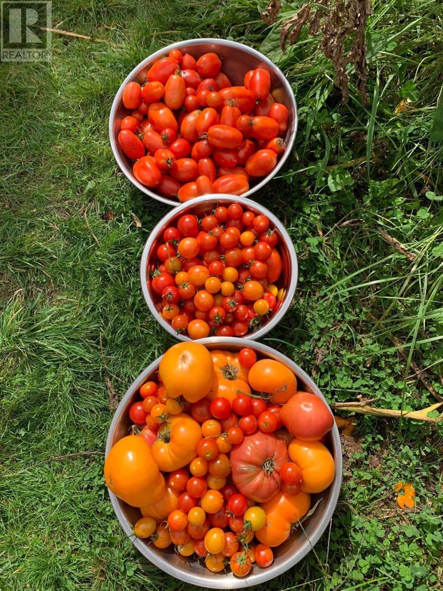 21 Long Hill Road, Mahone Bay, Nova Scotia  B0J 1E0 - Photo 32 - 202601341