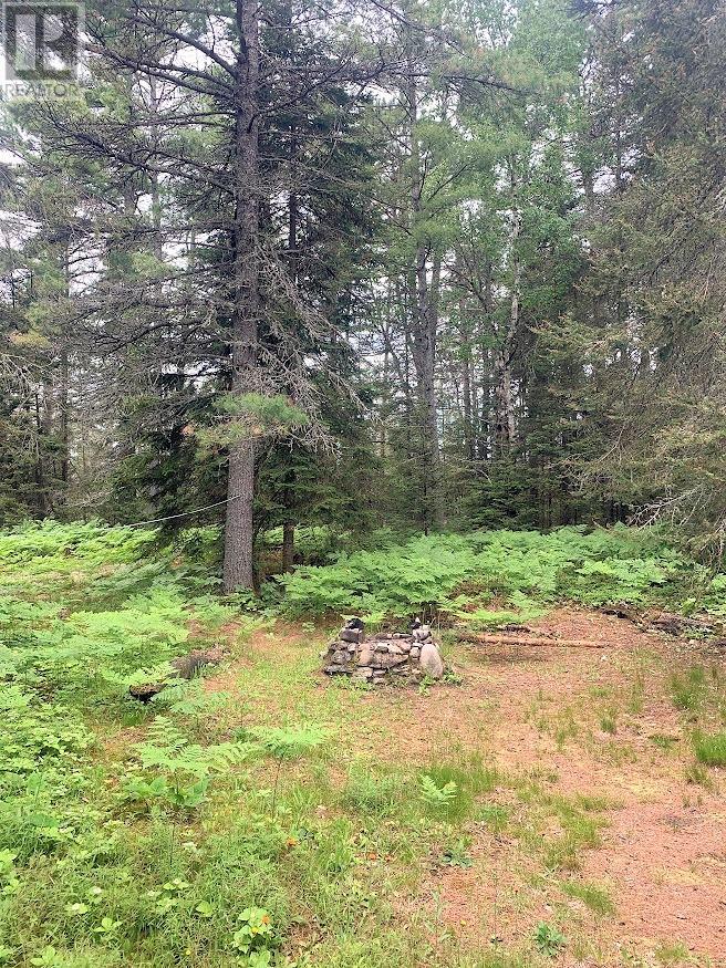 L17c3 Robinson Walkhouse Road, Manitoulin Island, Ontario  P0P 1Y0 - Photo 13 - 2126181