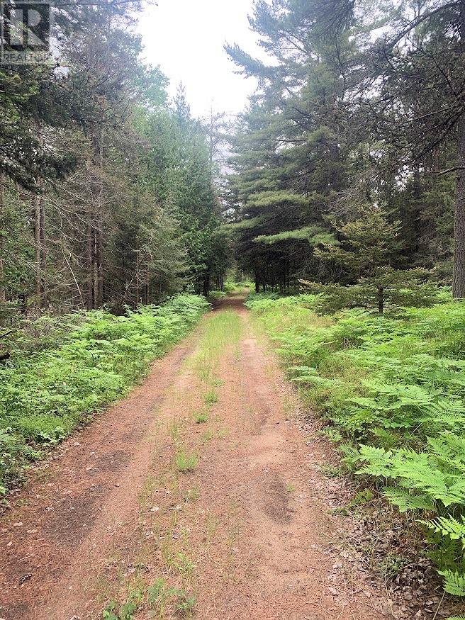 L17c3 Robinson Walkhouse Road, Manitoulin Island, Ontario  P0P 1Y0 - Photo 15 - 2126181