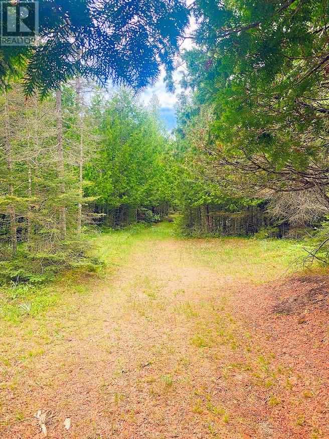 L17c3 Robinson Walkhouse Road, Manitoulin Island, Ontario  P0P 1Y0 - Photo 20 - 2126181
