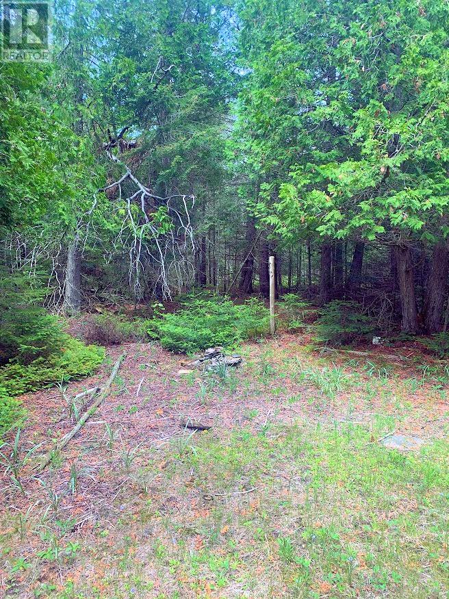 L17c3 Robinson Walkhouse Road, Manitoulin Island, Ontario  P0P 1Y0 - Photo 28 - 2126181