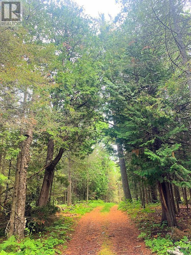 L17c3 Robinson Walkhouse Road, Manitoulin Island, Ontario  P0P 1Y0 - Photo 30 - 2126181