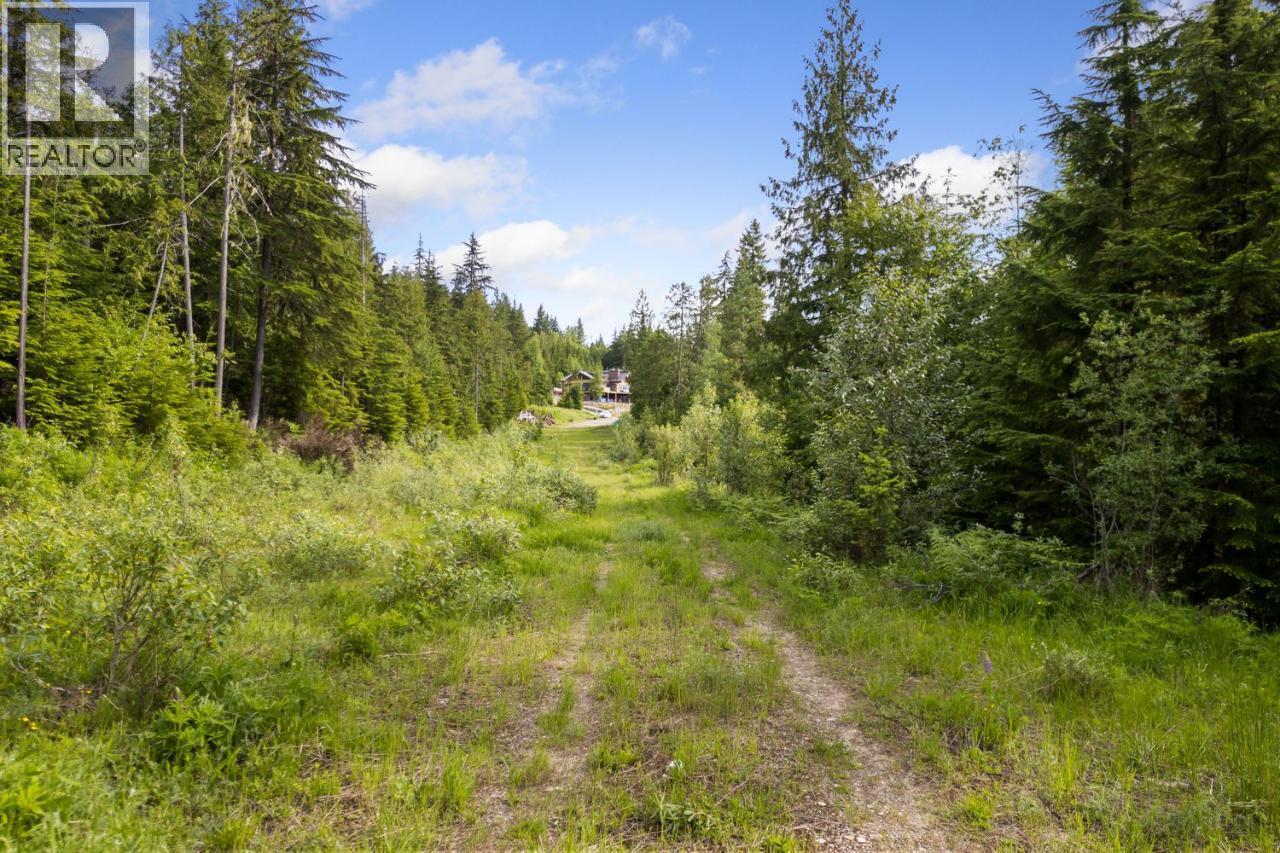 Lot 48 Crawford Creek Road, Crawford Bay, British Columbia V0B 1E0 - Photo 13 - 10359939