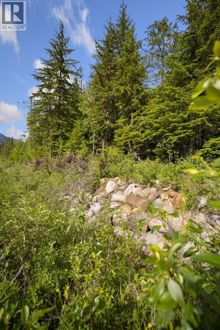 Lot 48 Crawford Creek Road, Crawford Bay, British Columbia V0B 1E0 - Photo 7 - 10359939