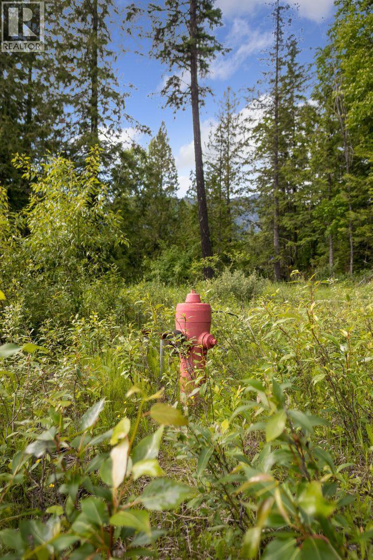 Lot 48 Crawford Creek Road, Crawford Bay, British Columbia V0B 1E0 - Photo 11 - 10359939