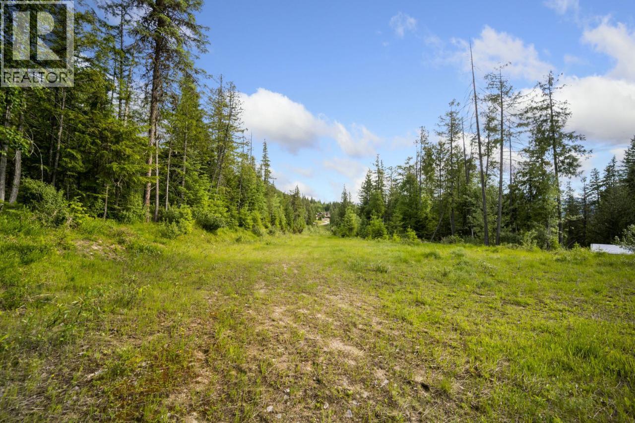 Lot 48 Crawford Creek Road, Crawford Bay, British Columbia V0B 1E0 - Photo 2 - 10359939