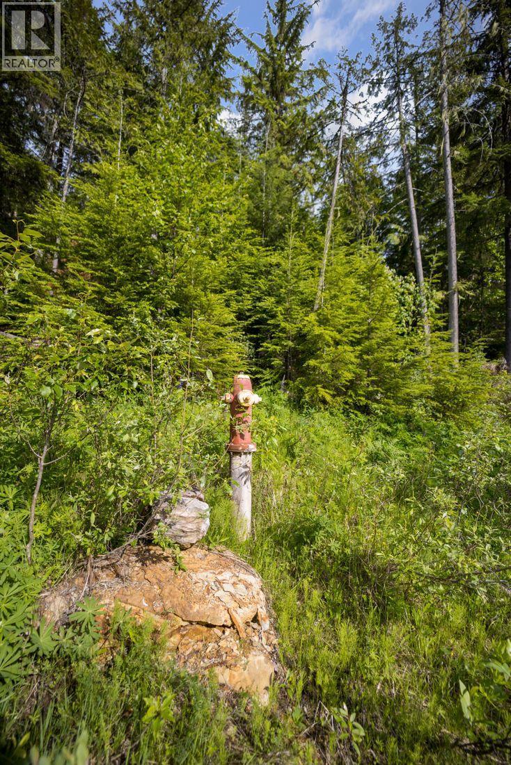 Lot 48 Crawford Creek Road, Crawford Bay, British Columbia V0B 1E0 - Photo 8 - 10359939