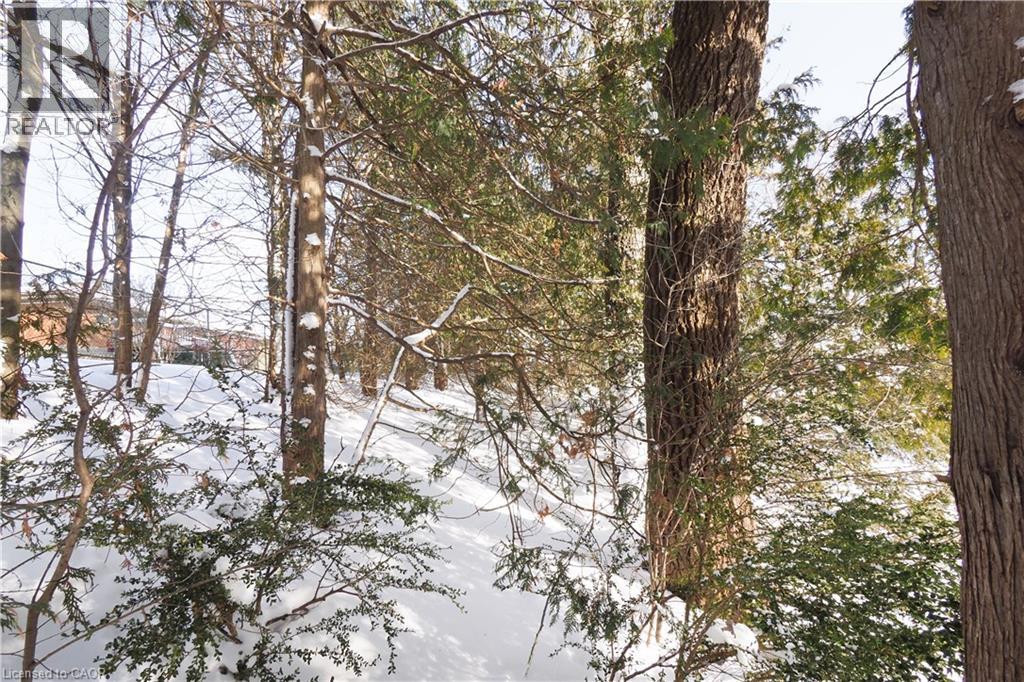 249 Murdock Avenue, Waterloo, Ontario N2J 2M6 - Photo 35 - 40800161