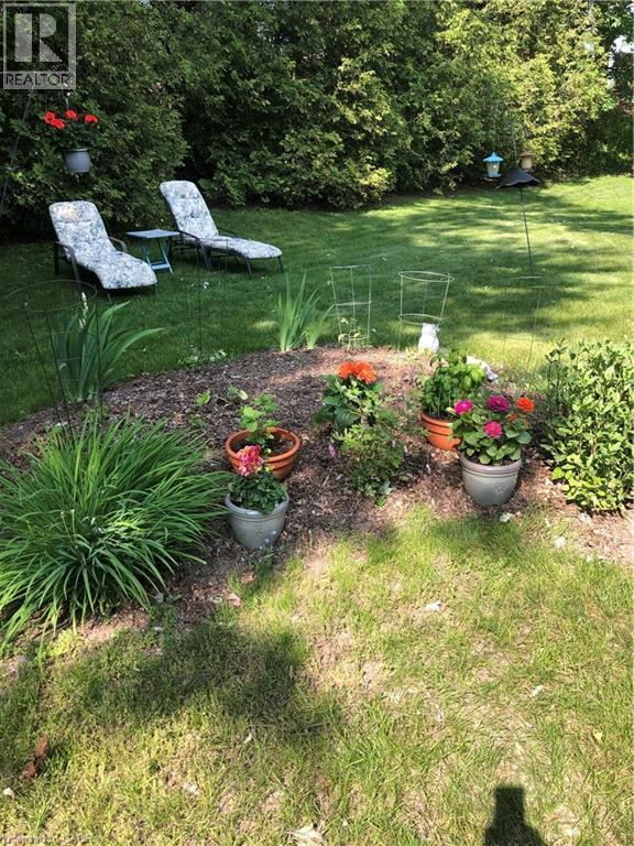 249 Murdock Avenue, Waterloo, Ontario N2J 2M6 - Photo 41 - 40800161