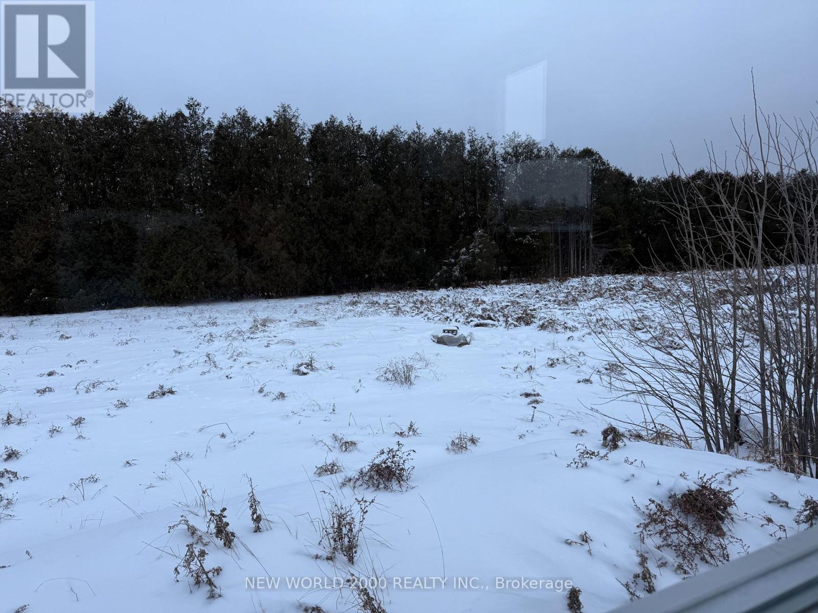 18902 Hurontario Street, Caledon, Ontario  L7K 1W6 - Photo 15 - W12721790