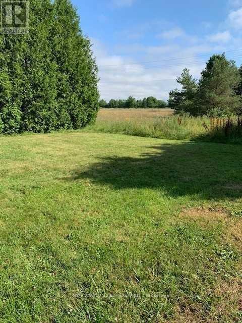 18902 Hurontario Street, Caledon, Ontario  L7K 1W6 - Photo 21 - W12721790