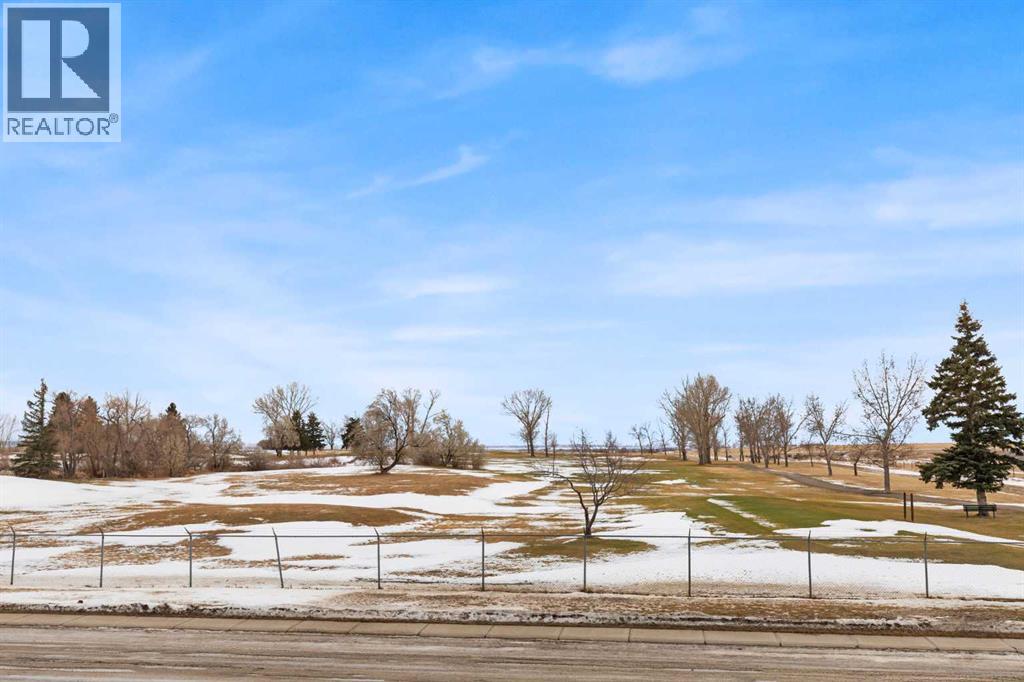 937 Main Street S, Redcliff, Alberta  T0J 2P0 - Photo 40 - A2275034