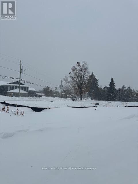 108 Main Street, Kawartha Lakes, Ontario  K0M 1A0 - Photo 5 - X12721958