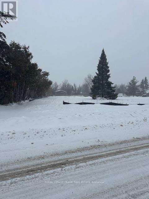 108 Main Street, Kawartha Lakes, Ontario  K0M 1A0 - Photo 6 - X12721958