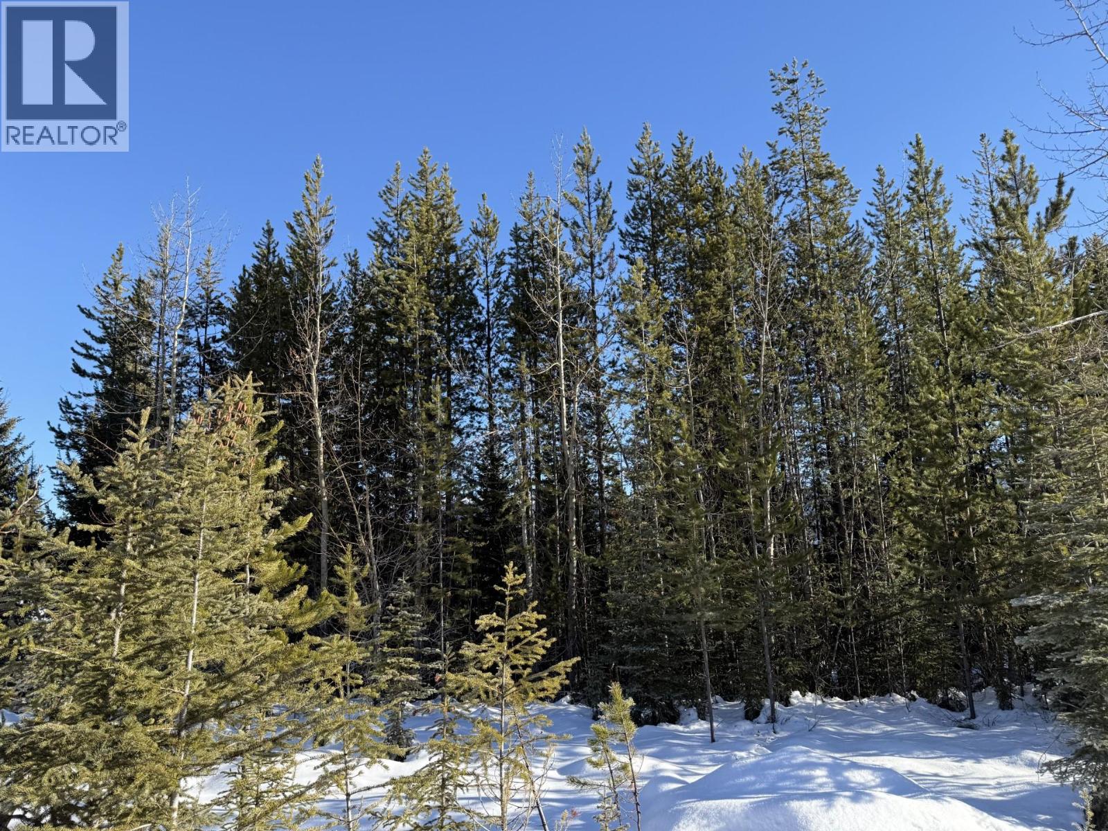 2 Dallas Place, Elkford, British Columbia  V0B 1H0 - Photo 3 - 10373457