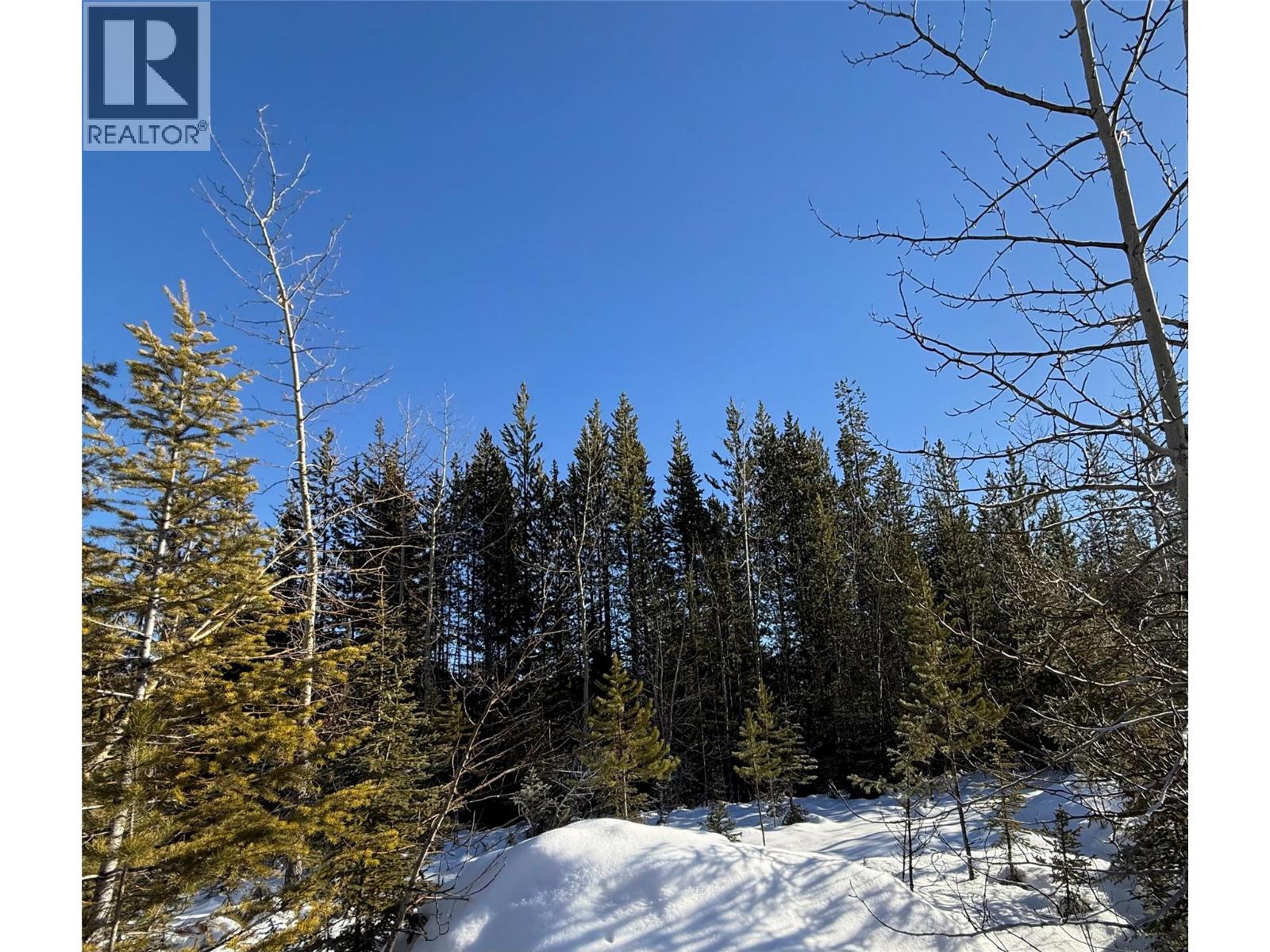 2 Dallas Place, Elkford, British Columbia  V0B 1H0 - Photo 2 - 10373457
