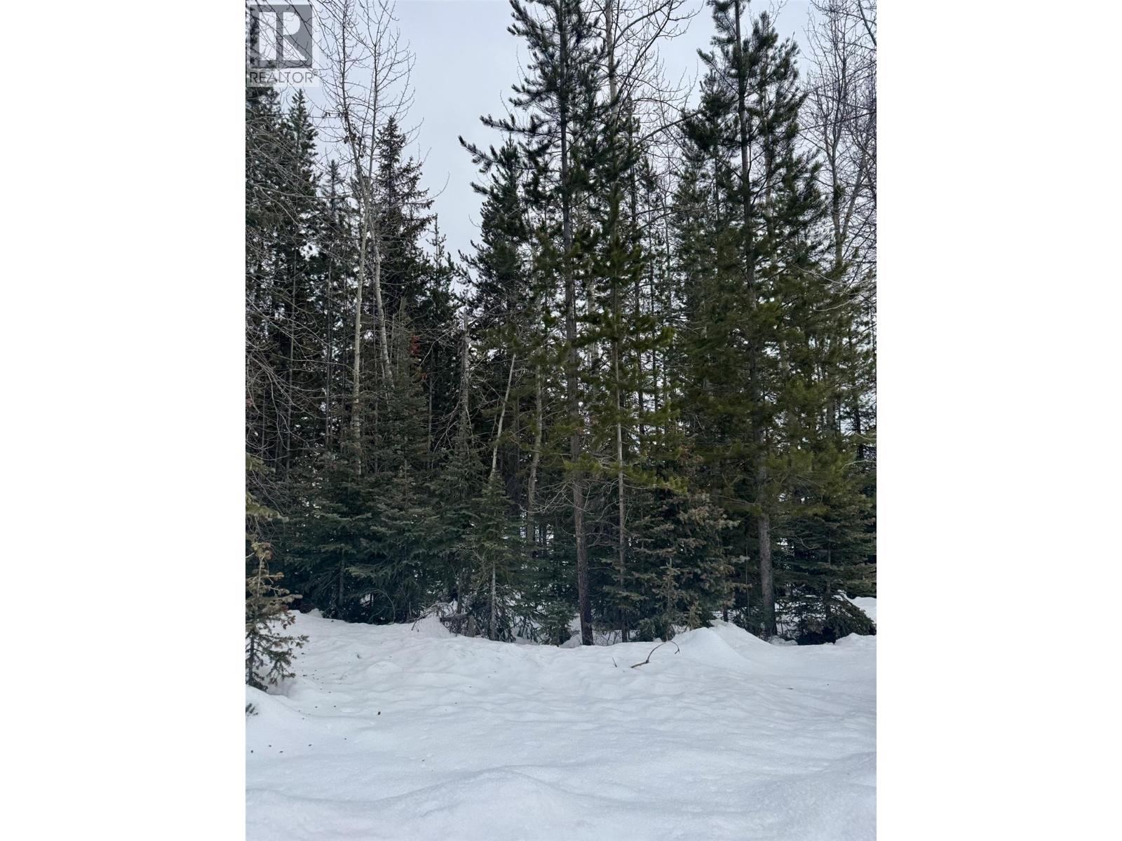 49 Dawson Crescent, Elkford, British Columbia  V0B 1H0 - Photo 3 - 10373461