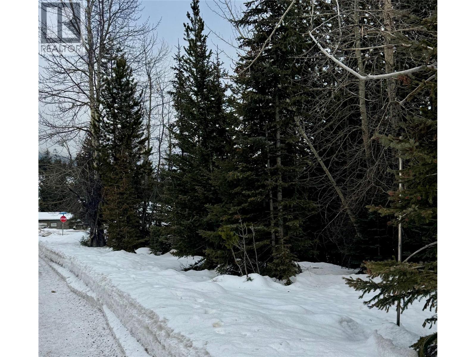 49 Dawson Crescent, Elkford, British Columbia  V0B 1H0 - Photo 2 - 10373461