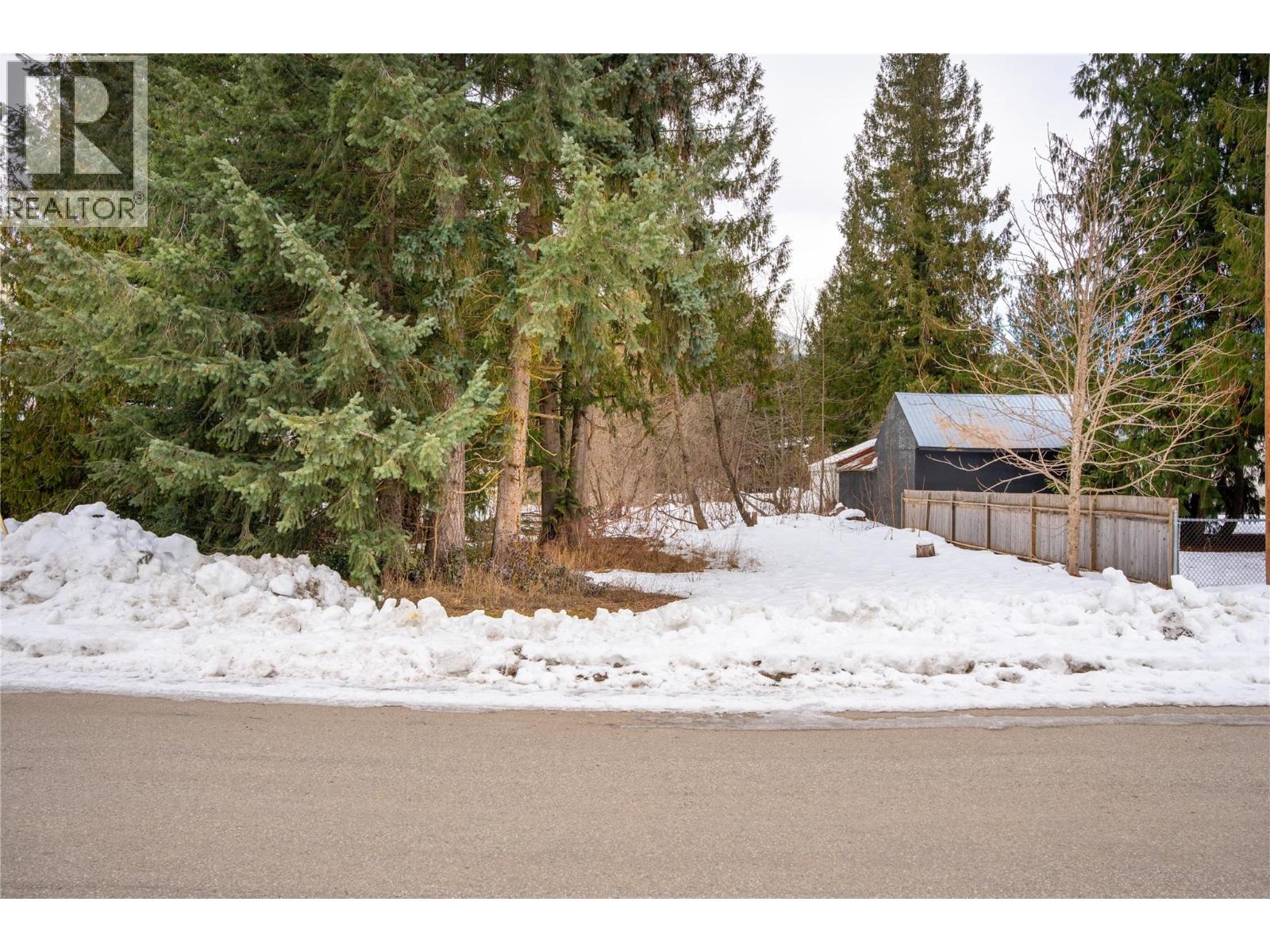 1206 Carlson Street, Revelstoke, British Columbia  V0E 2S0 - Photo 3 - 10373561