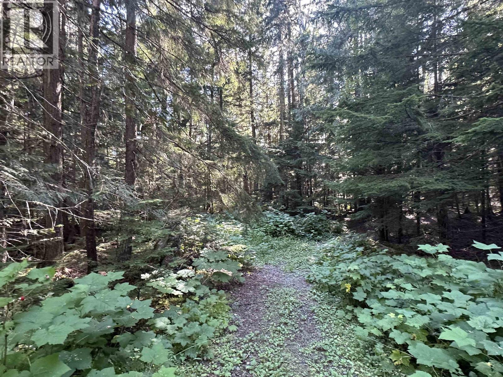 5973 Cedar Creek Road, Likely, British Columbia  V0L 1N0 - Photo 27 - R3082024